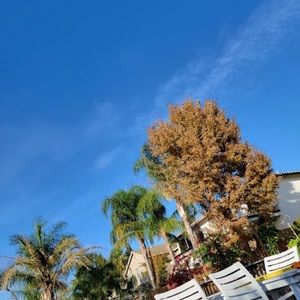 Meet your Posher, Dinh